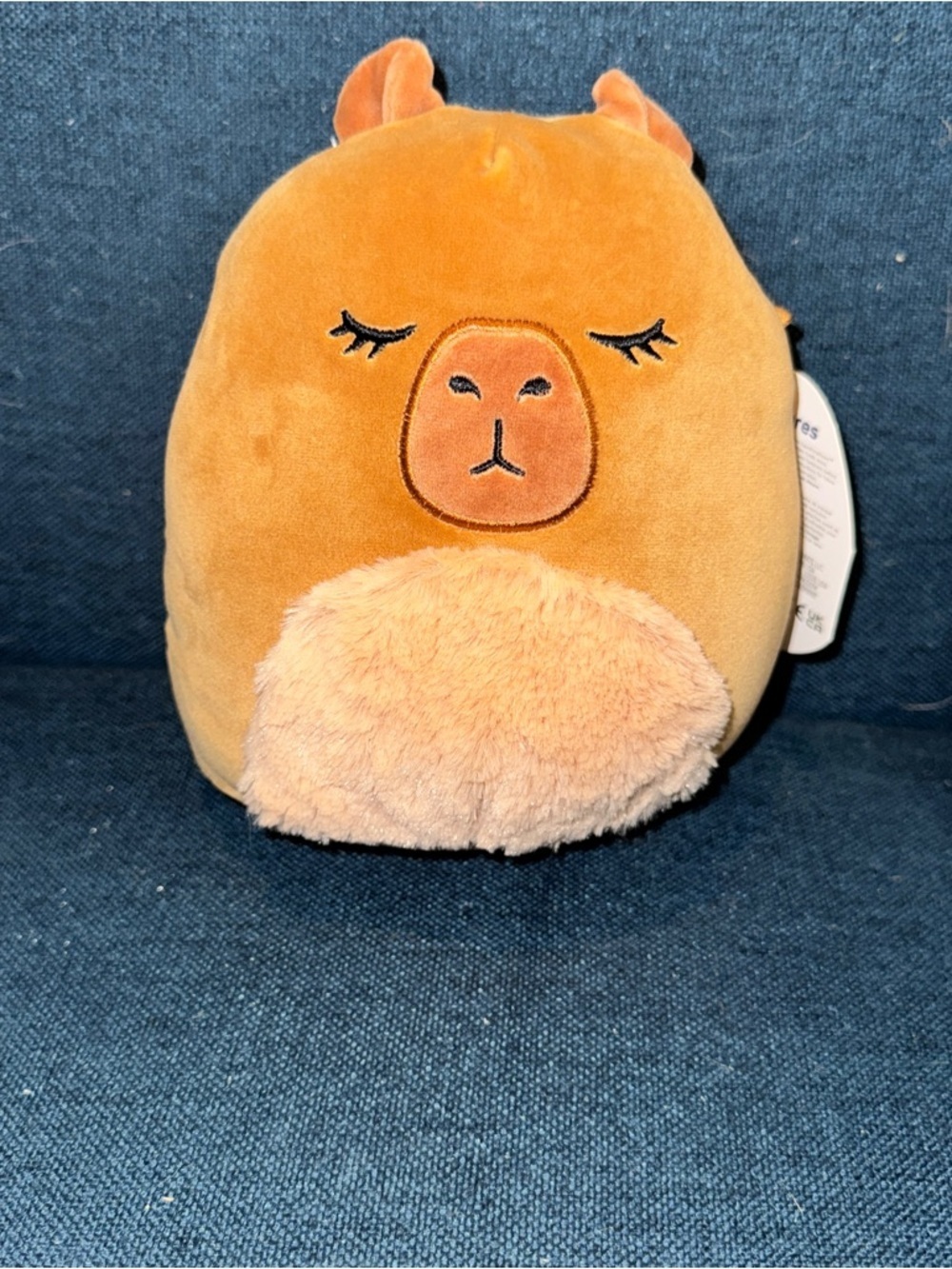 Squishmallow Lijjian Plush Stuffed Animal - NWT